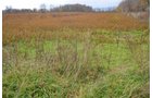 Property photo 20 - 80 Acres & Home - Property Offered in 4 Tracts from 2.3 to 30.0 Acres